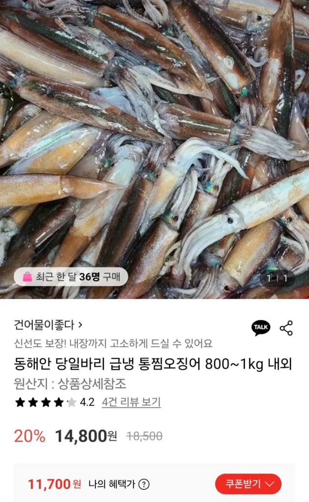 800g mực hấp nguyên con East Coast đông lạnh nhanh