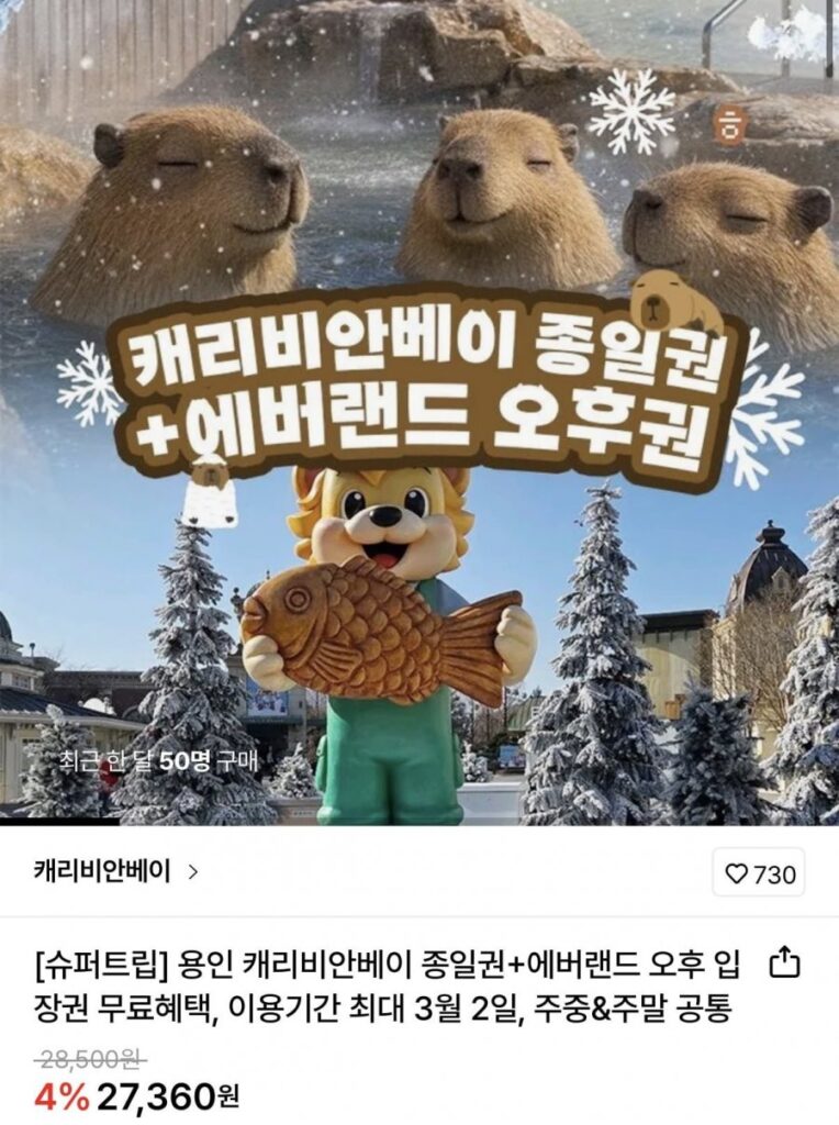 Vé cả ngày Vịnh Yongin Caribbean + Vé buổi chiều Everland