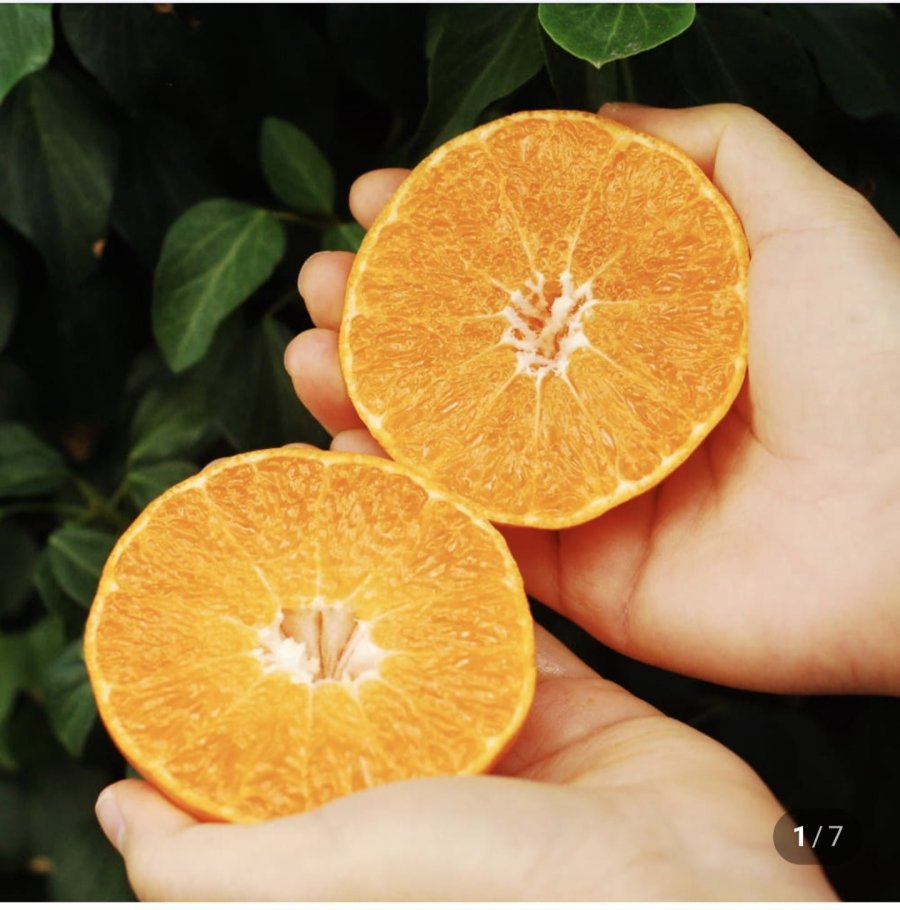 Hương đỏ tiết kiệm 3kg