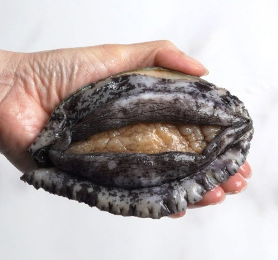 1 kg bào ngư sống, 6 đến 7 miếng