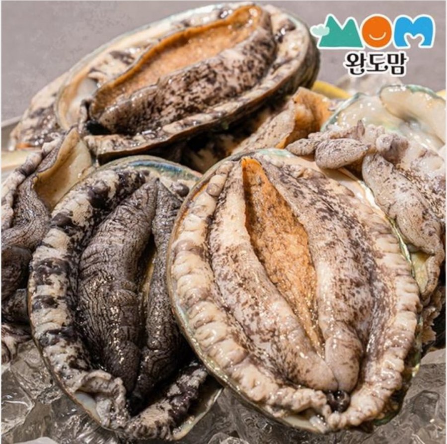 Bào ngư 1kg 6~7 miếng