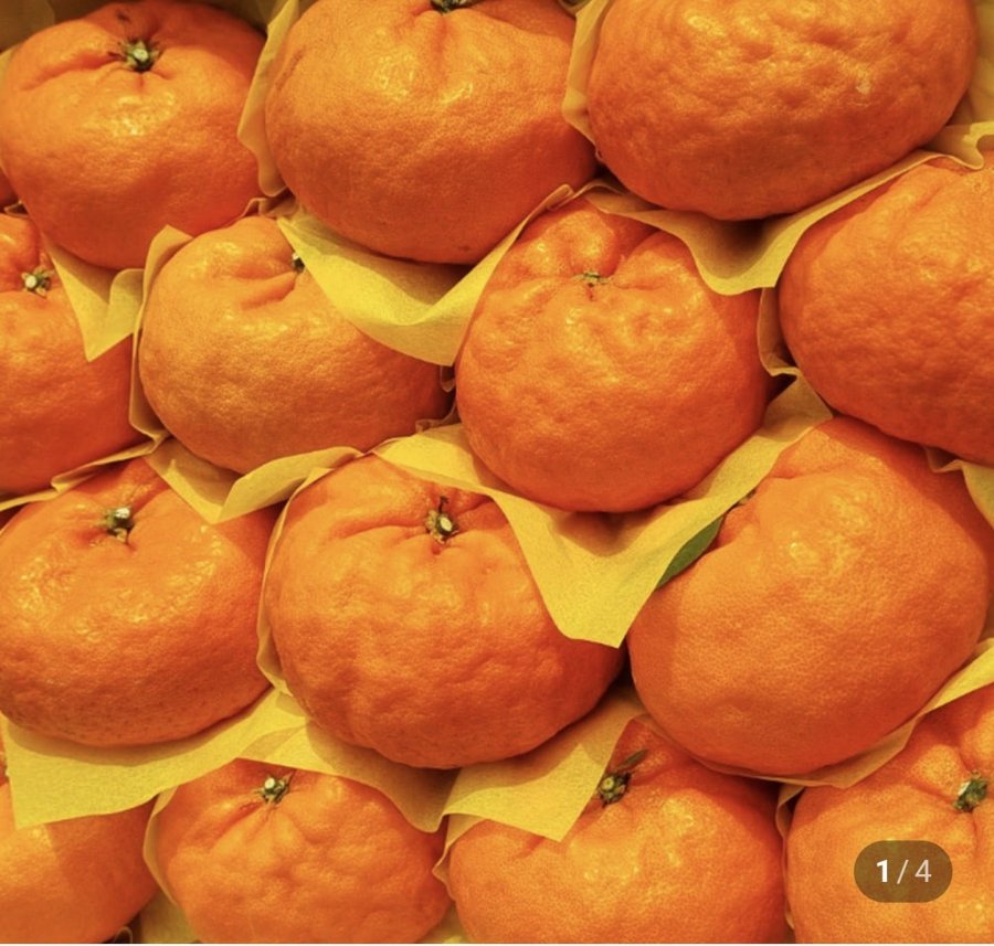 Quýt Winter Prince nhiều đường 2kg