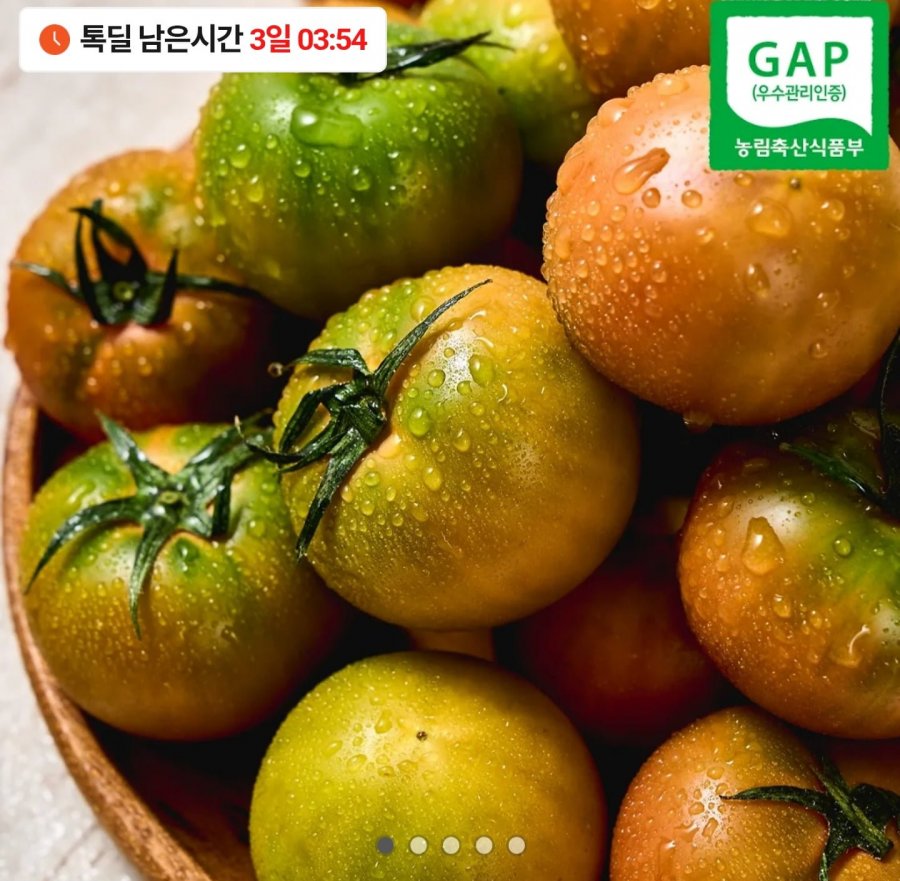 Cà chua Daejeo quả lớn 2,5kg