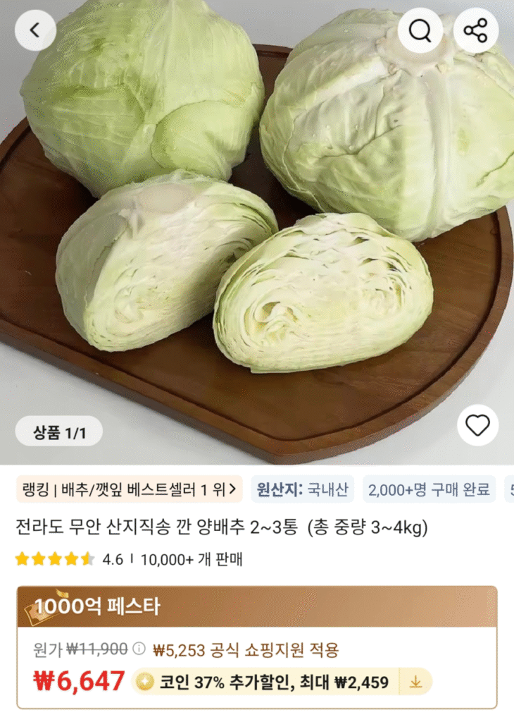 [Ali] 2~3 đầu bắp cải (3~4 kg) + 1 kg hành tây (nhỏ)