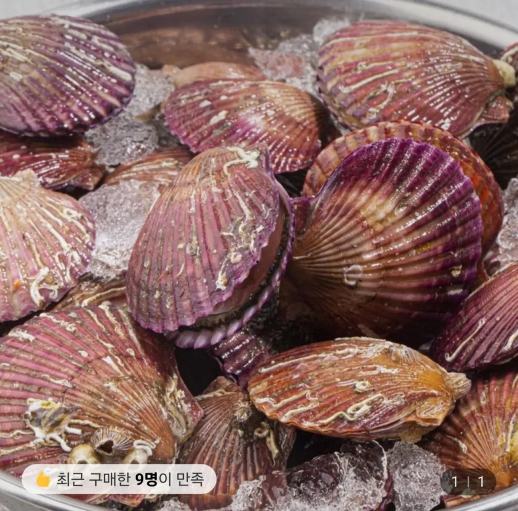 Sò điệp đỏ Tongyeong 5kg (khoảng 20 con/kg)