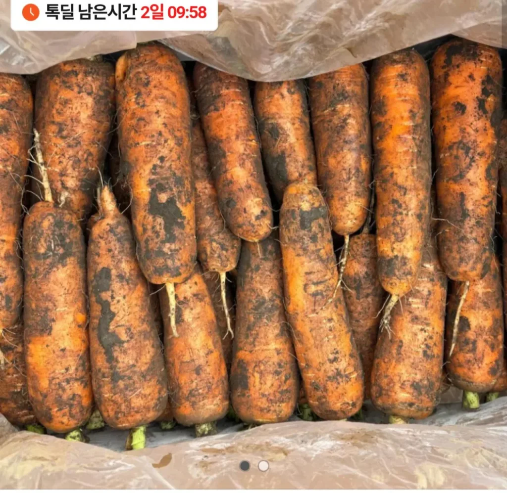 Nước ép cà rốt Jeju Hat Gujwa 10kg