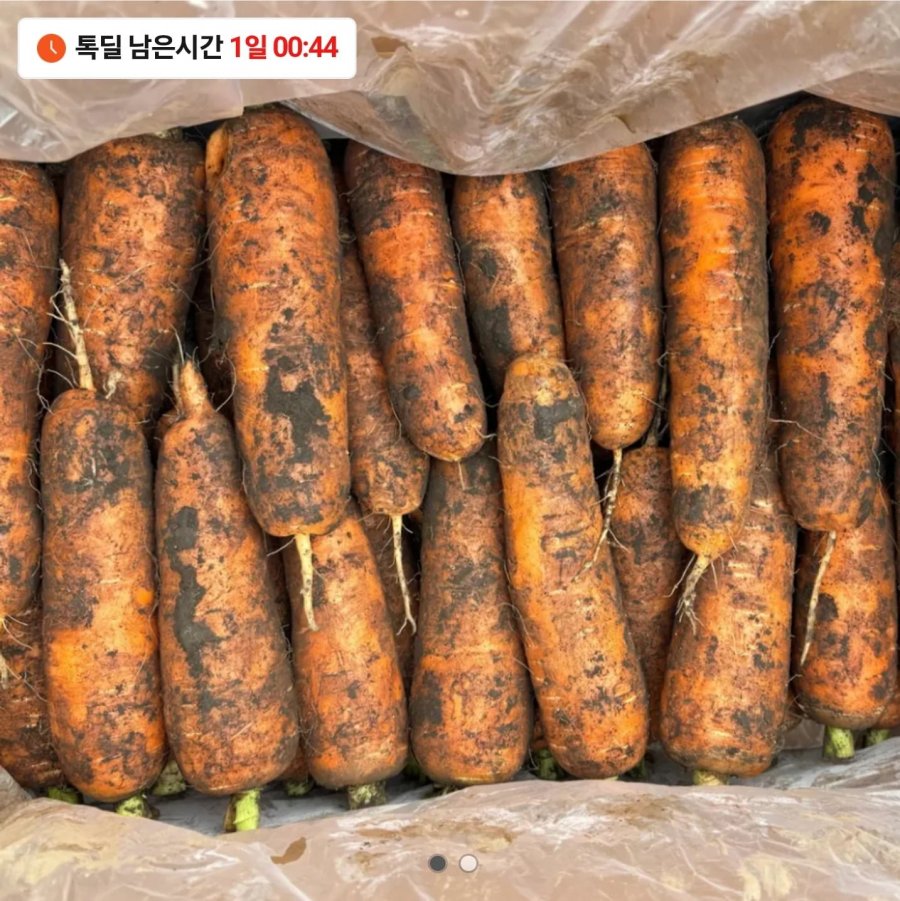 Nước ép cà rốt Jeju xấu xí