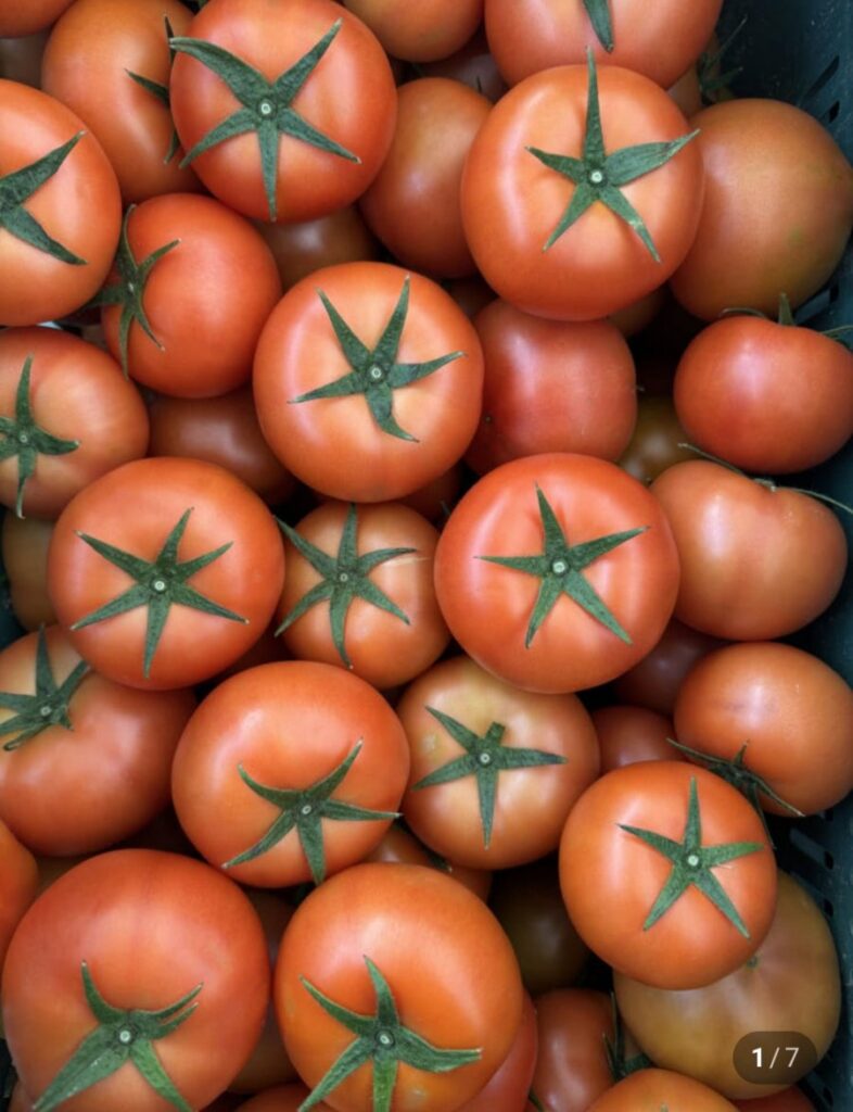 5kg cà chua chín châu Âu xấu xí