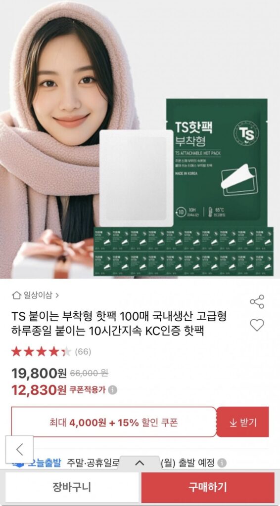 국내생산 TS 붙이는 핫팩 50g 100매