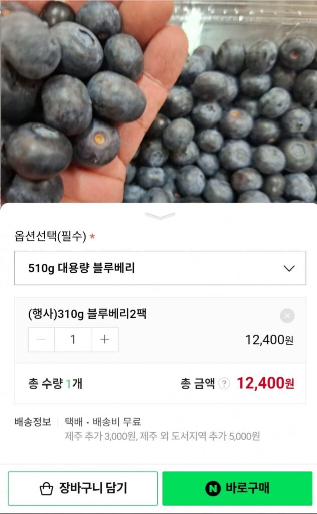 칠레산 생블루베리 특 대용량혼합과