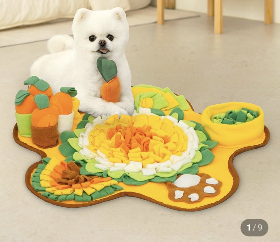 Mũi chó Đồ chơi làm việc Hoa âm thanh Cà rốt Field Chăn Mat