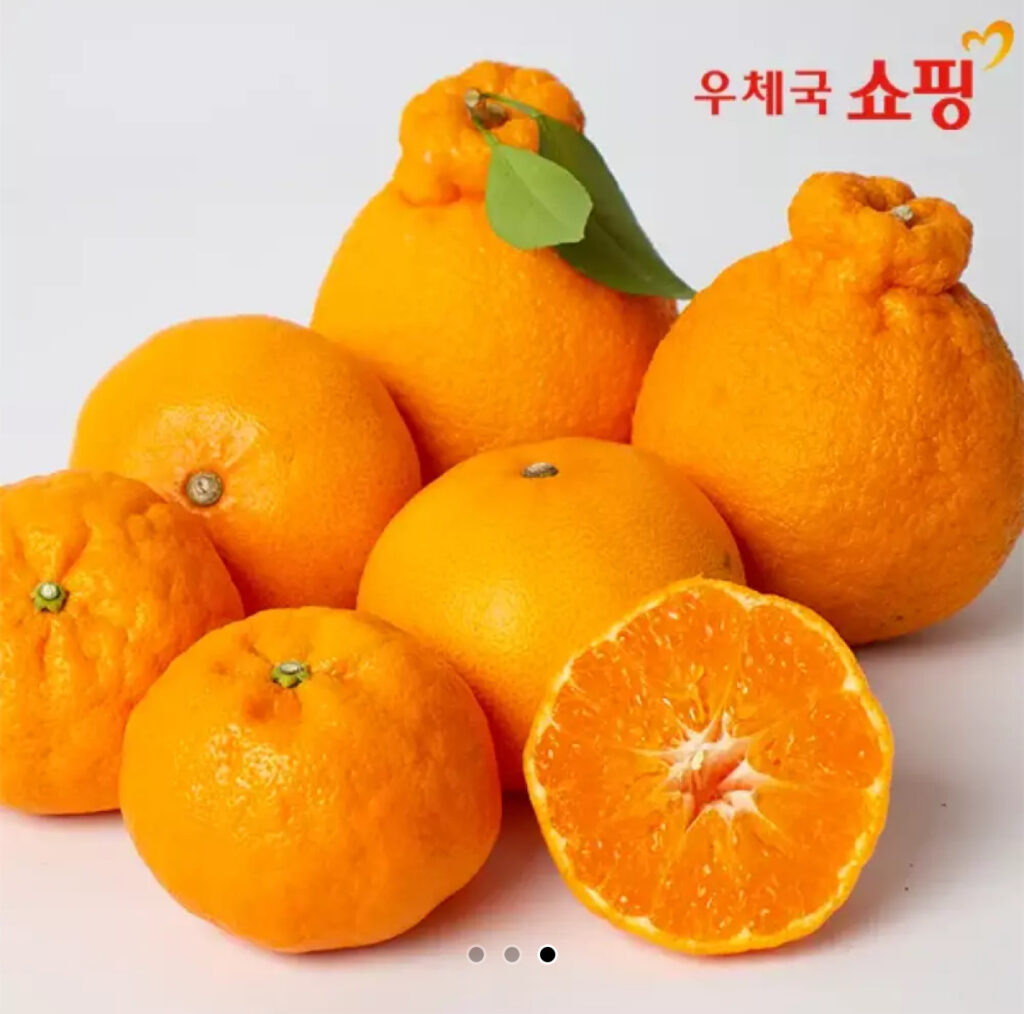[Đường 11] Jeju Cheonhyehyang 2kg 13.970 won miễn phí vận chuyển