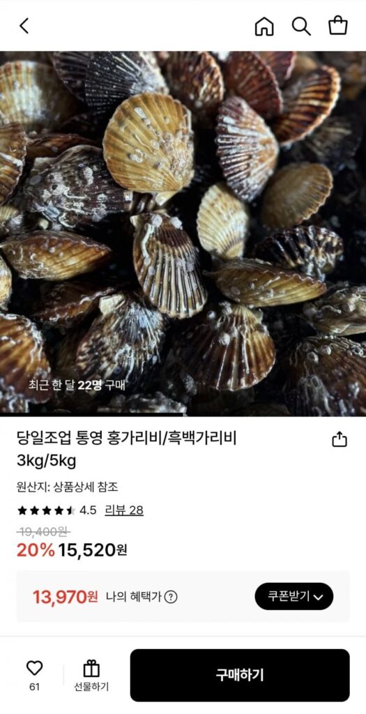 Câu cá trong ngày sò điệp đen trắng Tongyeong 5kg (khoảng 20 con/kg)