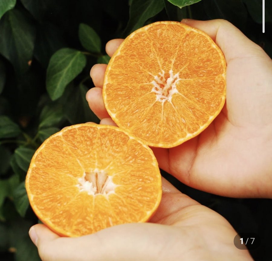 Hương đỏ sử dụng tại nhà 1,5kg