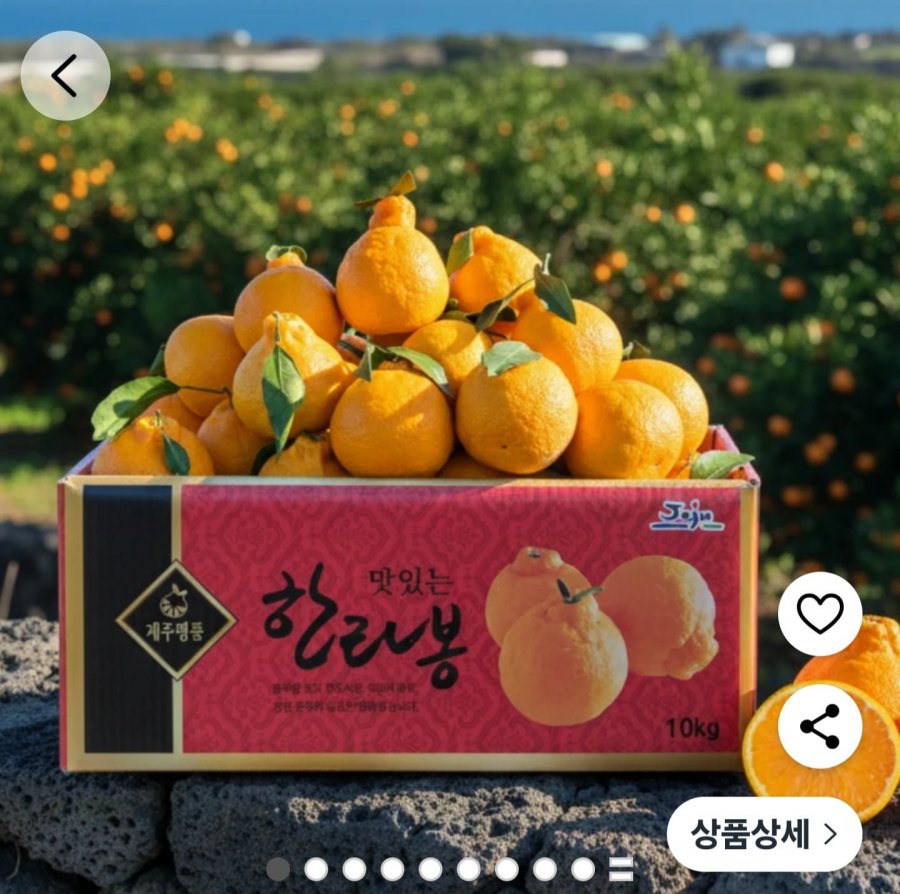 Trang trại Jeju giao hàng trực tiếp Thịt bò Hallabong 2kg