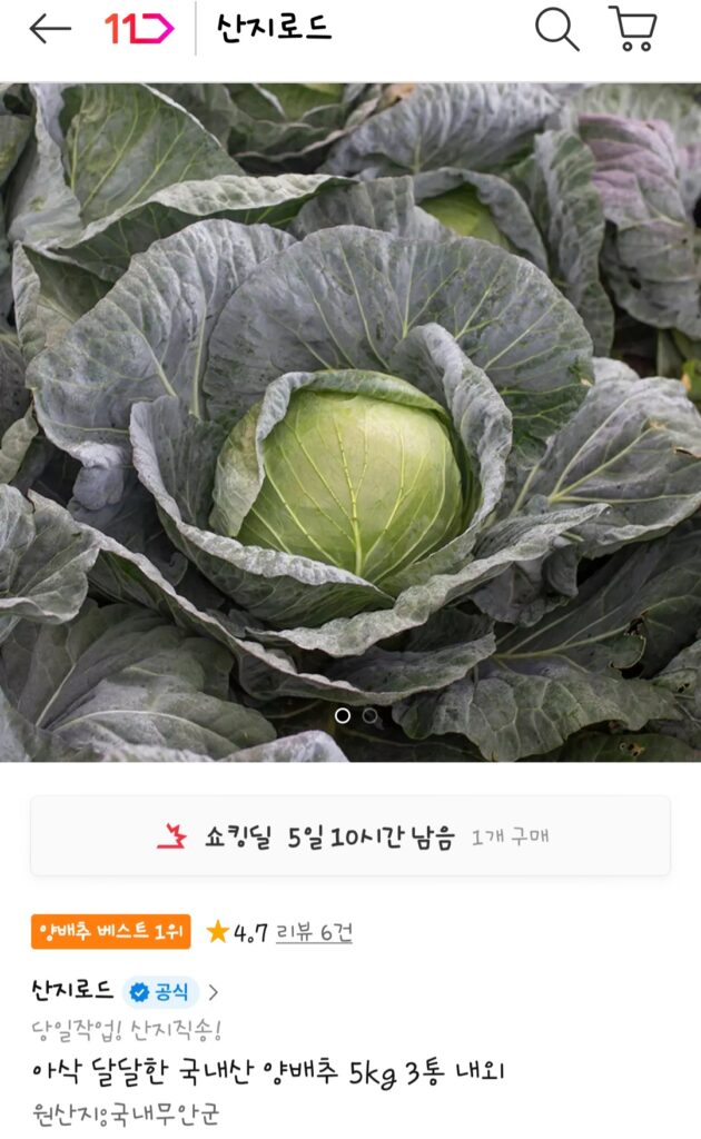 [thứ 11] 3 lon bắp cải Muan nội địa 5kg