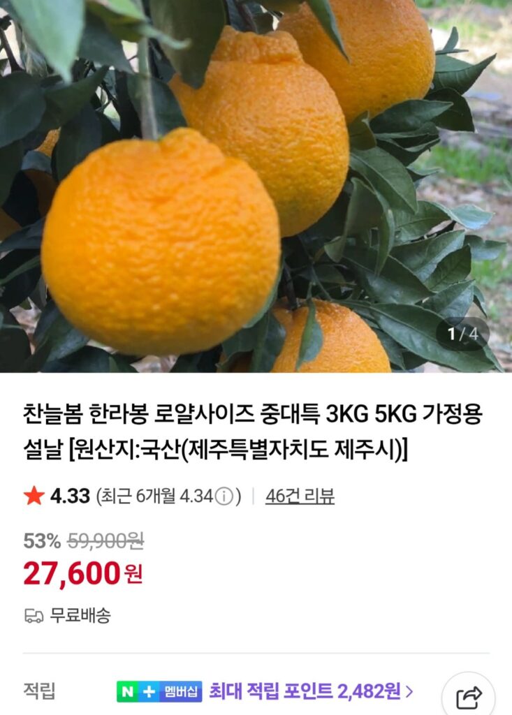 Đảo Jeju Hallabong 5kg hạng nặng đặc biệt 