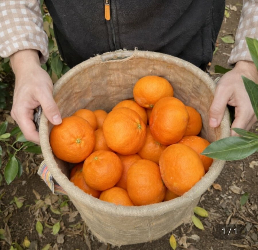 Nước hoa đỏ Jeju Trọng lượng tịnh 3kg