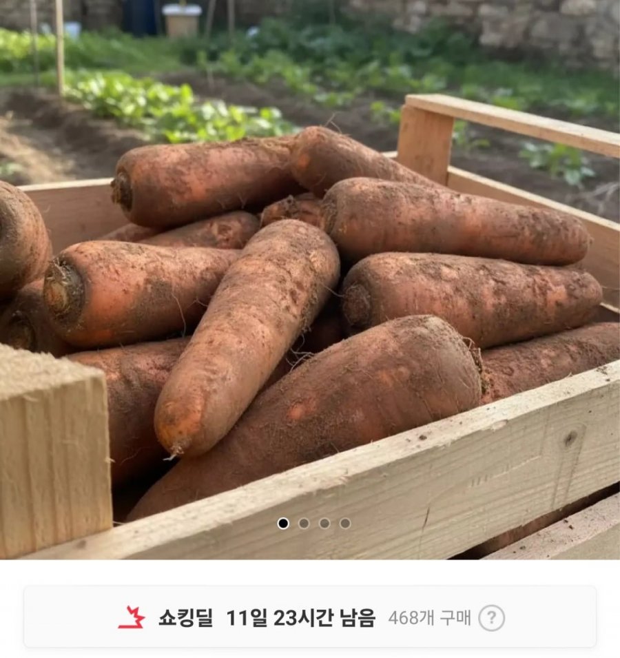 Cà rốt nội địa thu hoạch từ vùng sản xuất 3kg (đặc biệt lớn/khối lượng tịnh)