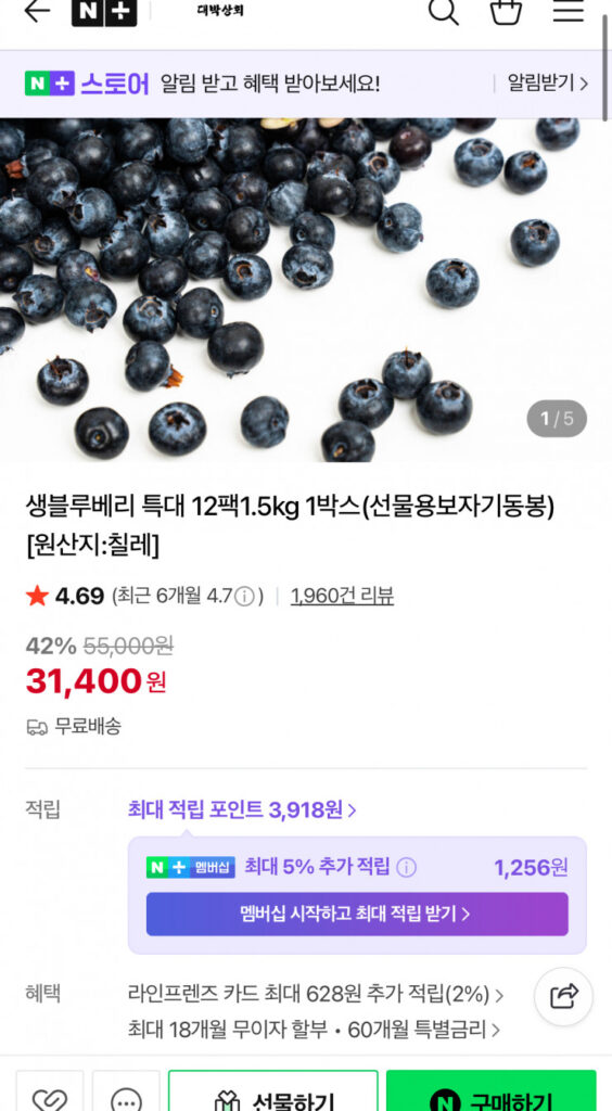 [Naver] Quả việt quất tươi Chile cực lớn 125g x 12 gói 31.400 won