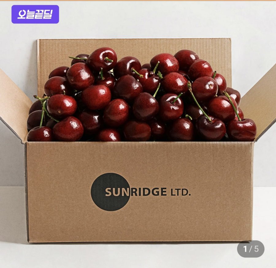 Vật liệu sinh học Chile size lớn 1kg