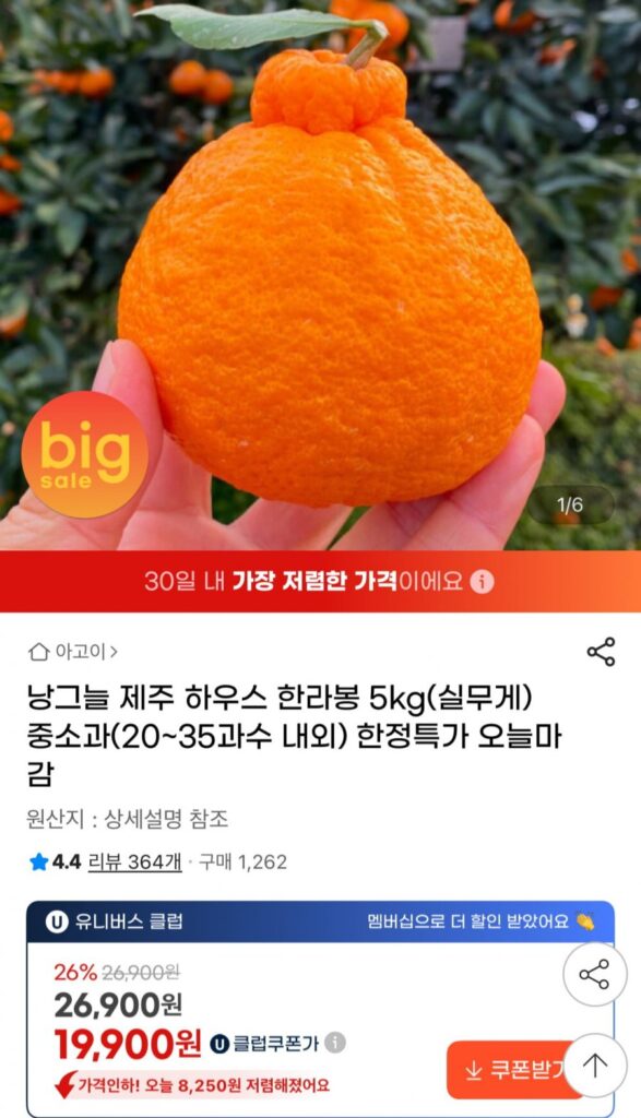 Nhà Jeju Hallabong 5kg