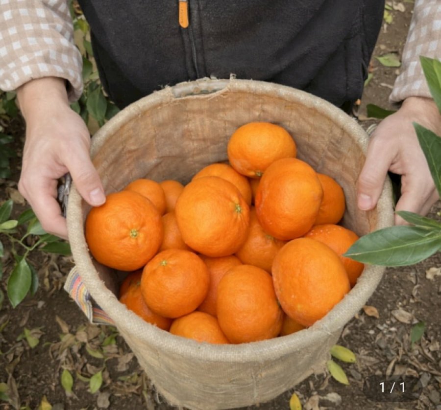 Mùi hương đỏ trọng lượng tịnh 2kg