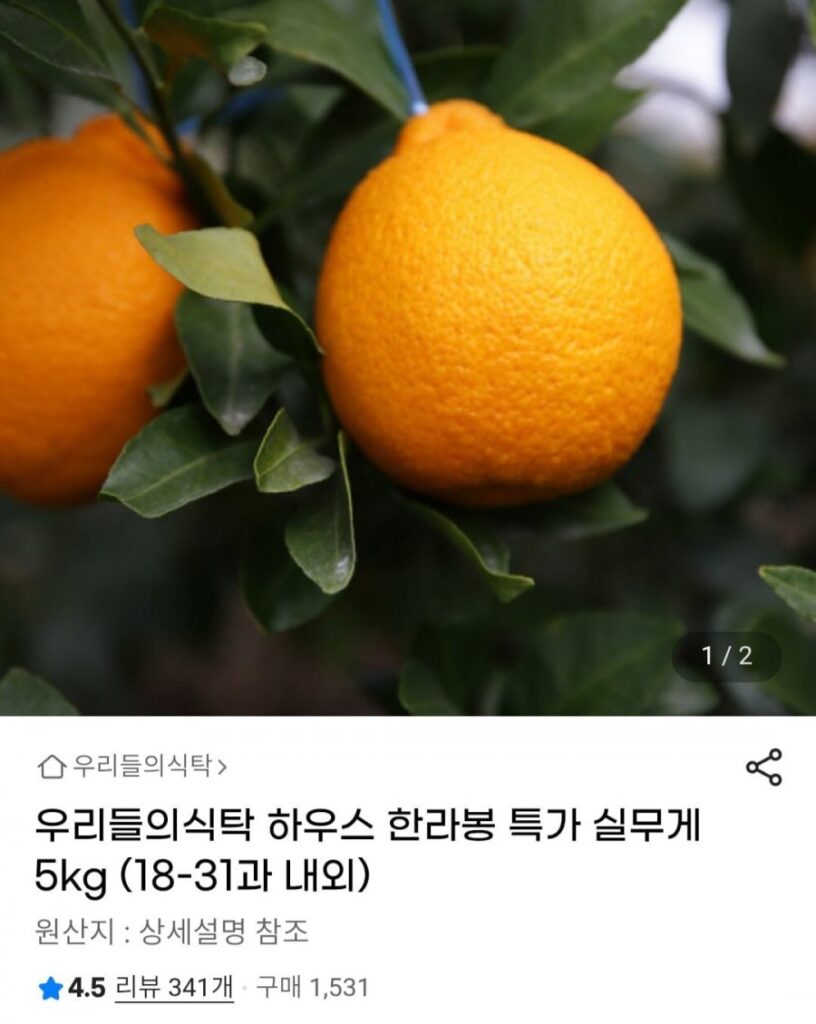 Hallabong trọng lượng tịnh 5kg