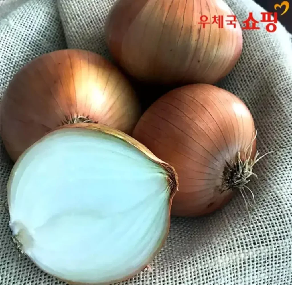 Muan Đất Sét Đỏ Hành Tươi 5kg Vừa Mix