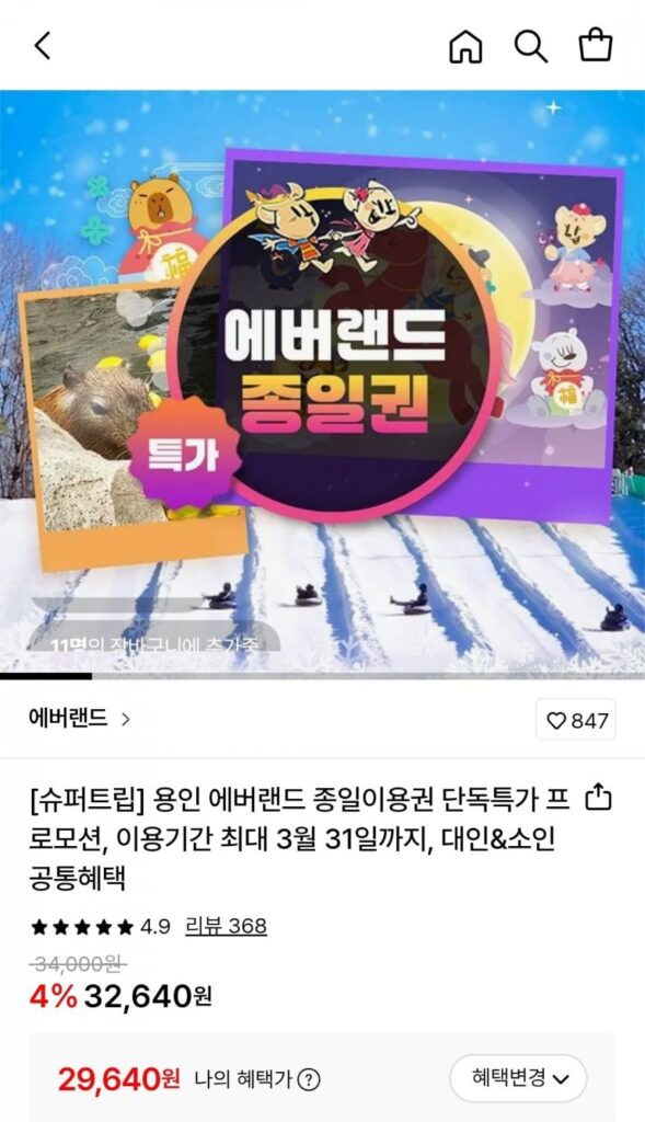 Thẻ Yongin Everland cả ngày