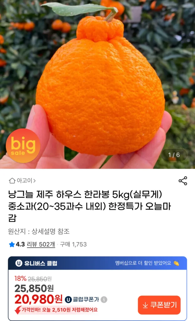 Nhà Jeju Hallabong 5kg