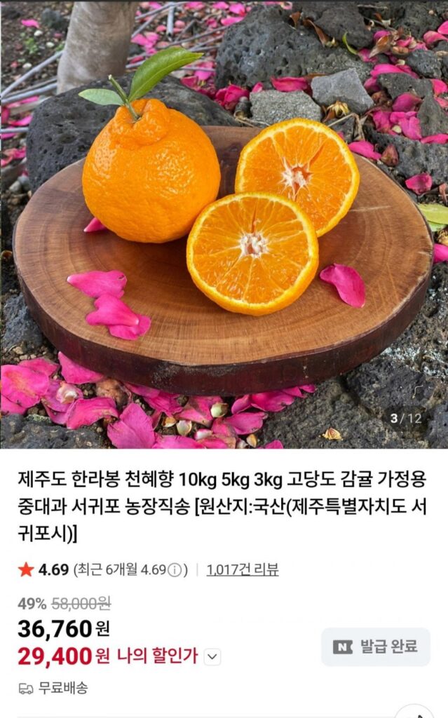 Đảo Jeju Hallabong cỡ vừa và lớn 5kg