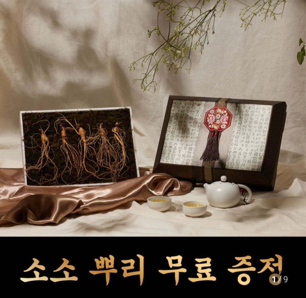 Bộ sâm Jeil Wild Ginseng 5 tuổi 8 củ