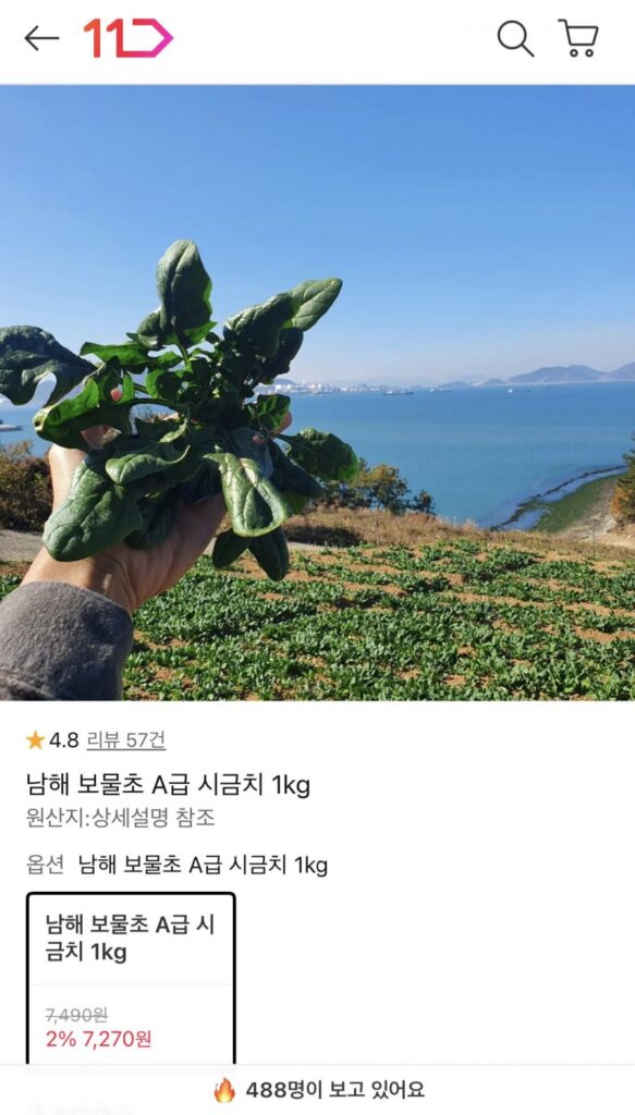 Rau muống Namhae 1kg