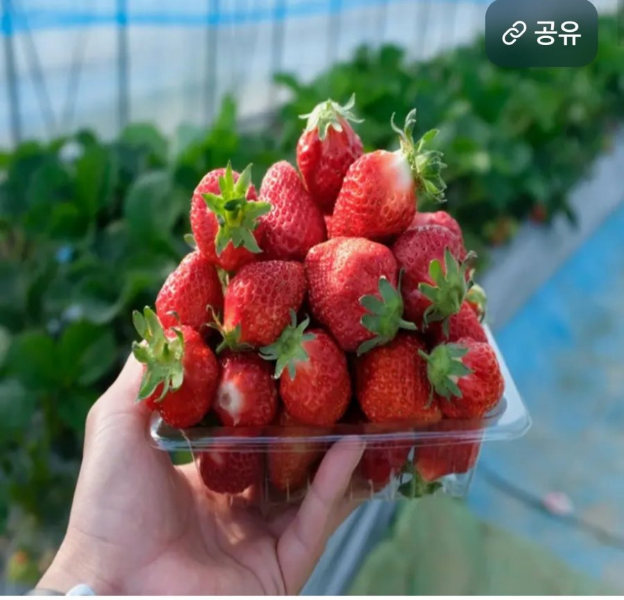 Dâu Seolhyang 350g 2 gói