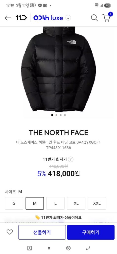 노스페이스 히말라얀 후드 패딩