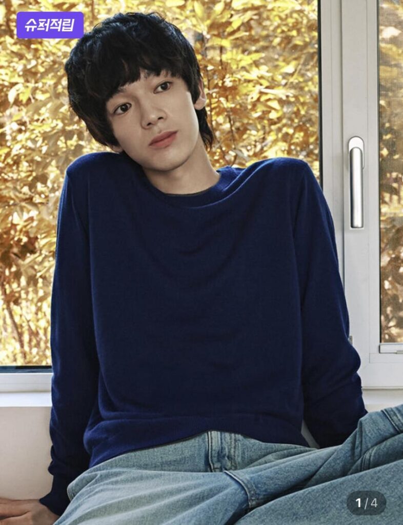 Top 10 Áo Len Merino Cao Cấp Cao Cấp