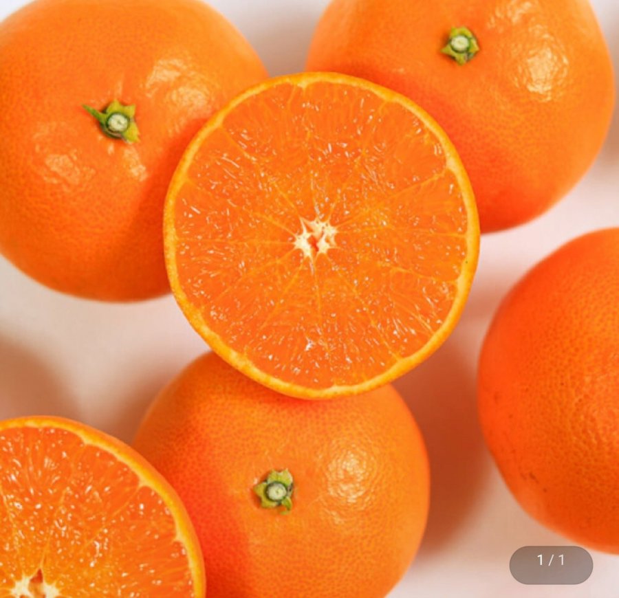 천혜향 4.5kg 실속형