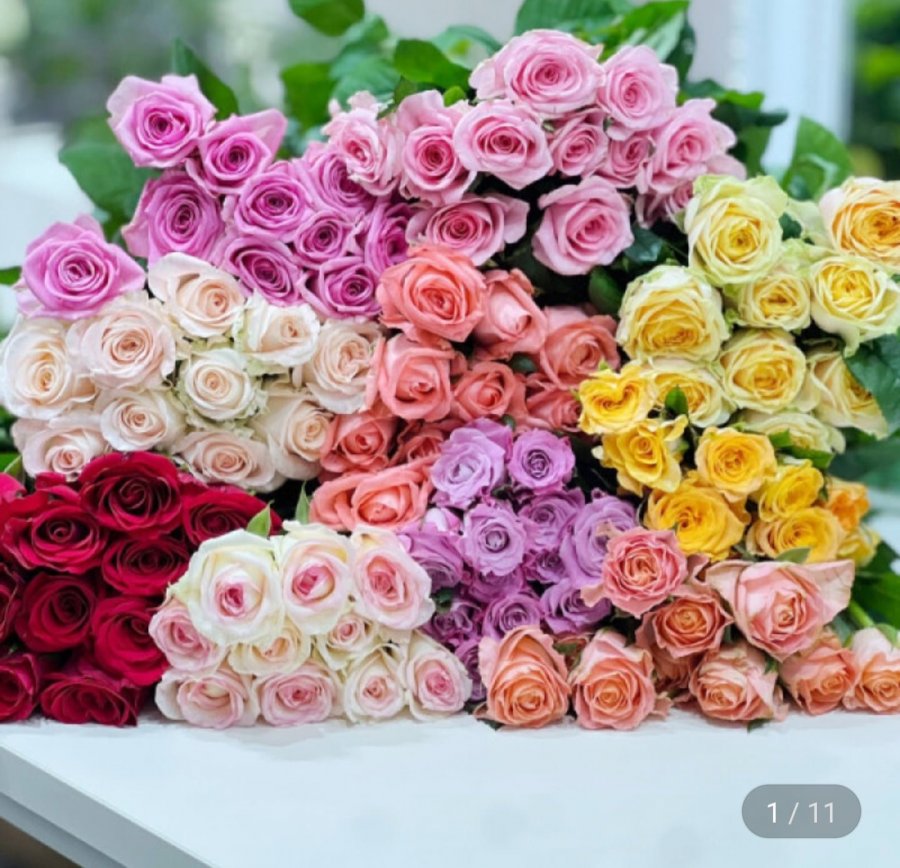 10 bông hồng tươi