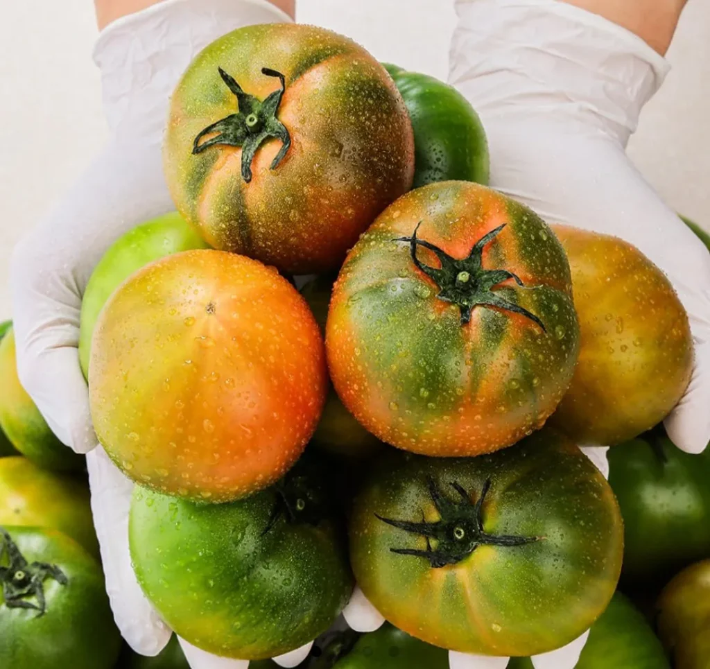 Cà chua Daejeo Busan 2,5kg