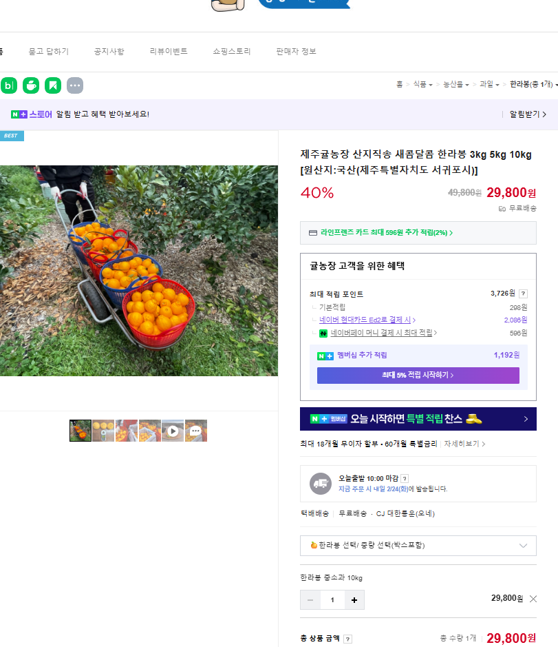 [Naver] Jeju Hallabong loại vừa và nhỏ 10 kg