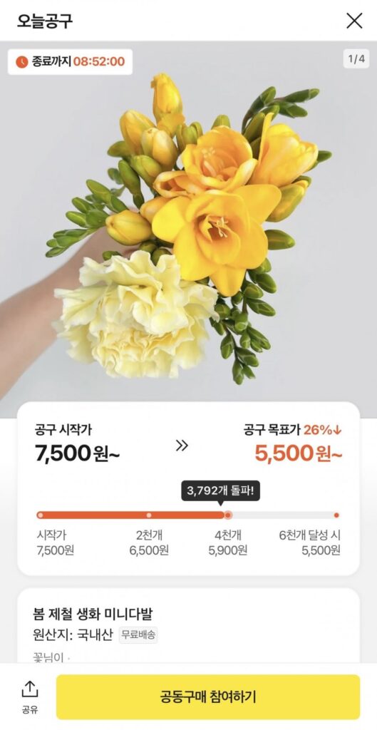 10 cành lan Nam Phi + 1 bông hoa ngẫu nhiên