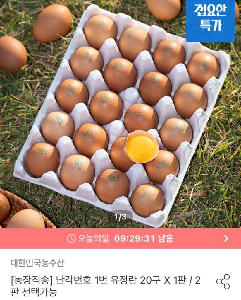 Vỏ trứng số 1, 20 trứng đã thụ tinh, 2 đĩa