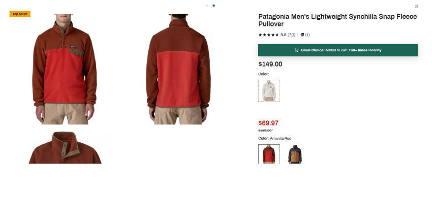 Dick’s Sporting Patagonia Synchilla