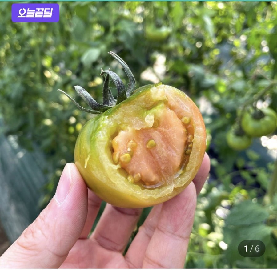 Cà Chua Daejeo (M) 2.5kg
