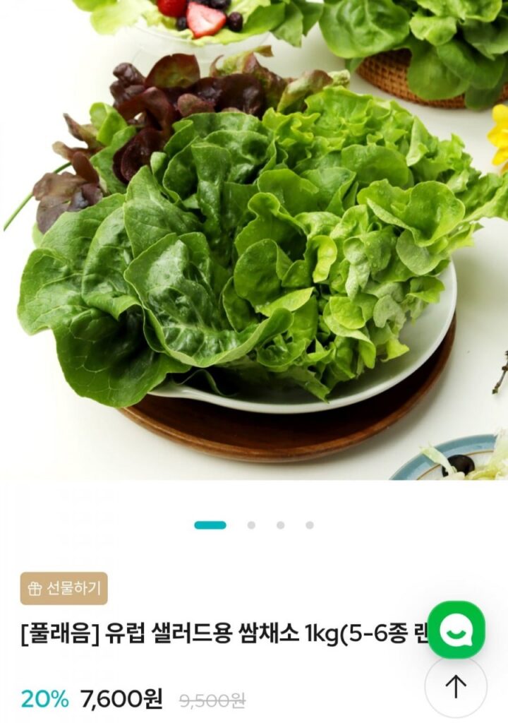 Salad Âu 1kg 5-6 loại rau ssam ngẫu nhiên