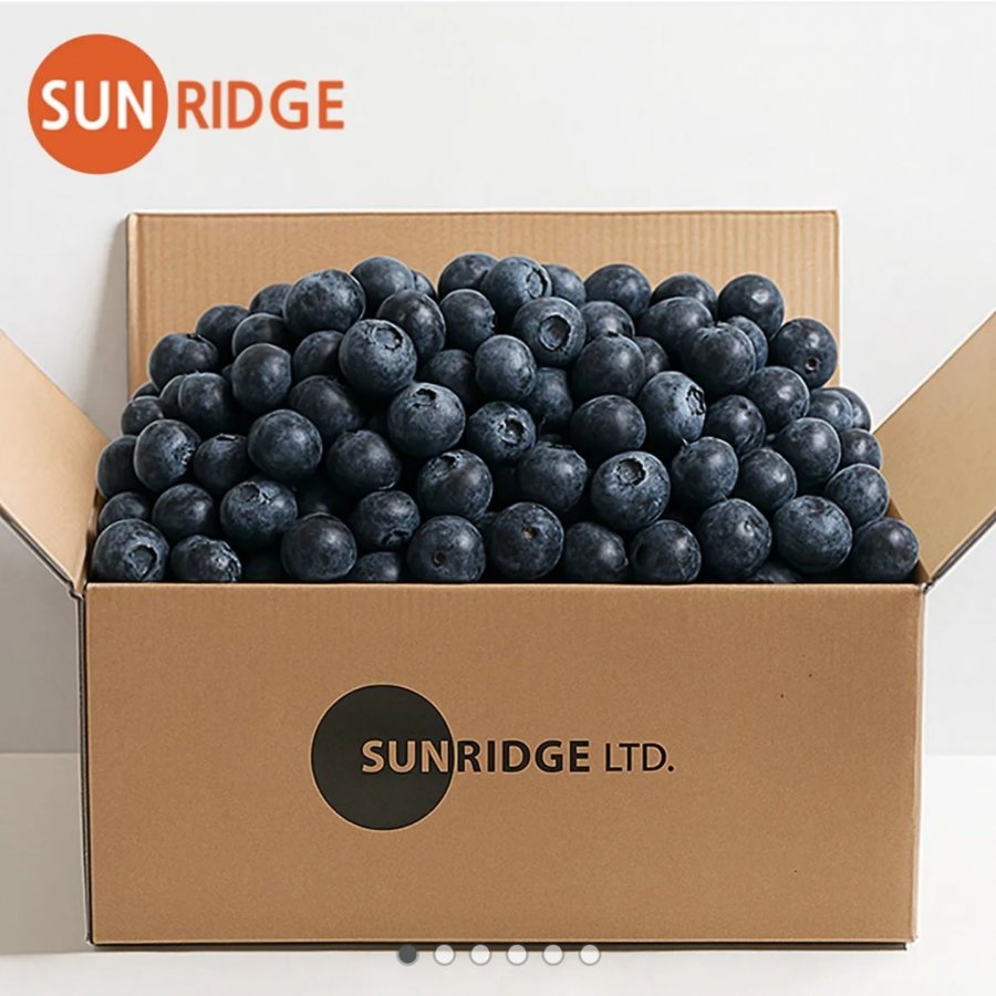 5 gói việt quất tươi Chile 125g