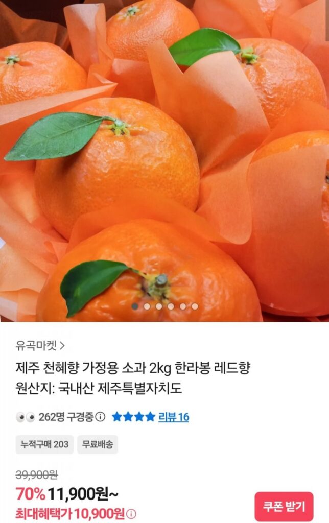 Jeju Cheonhyehyang Sử dụng tại nhà 2kg