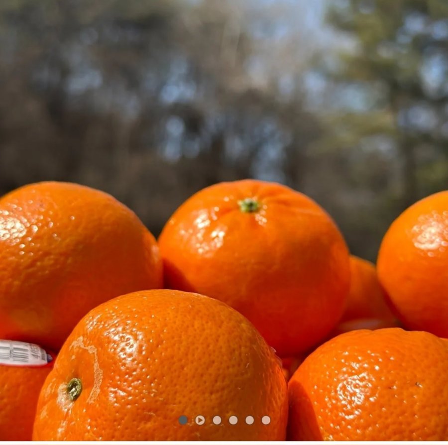 Quýt Mỹ nhiều đường 1kg