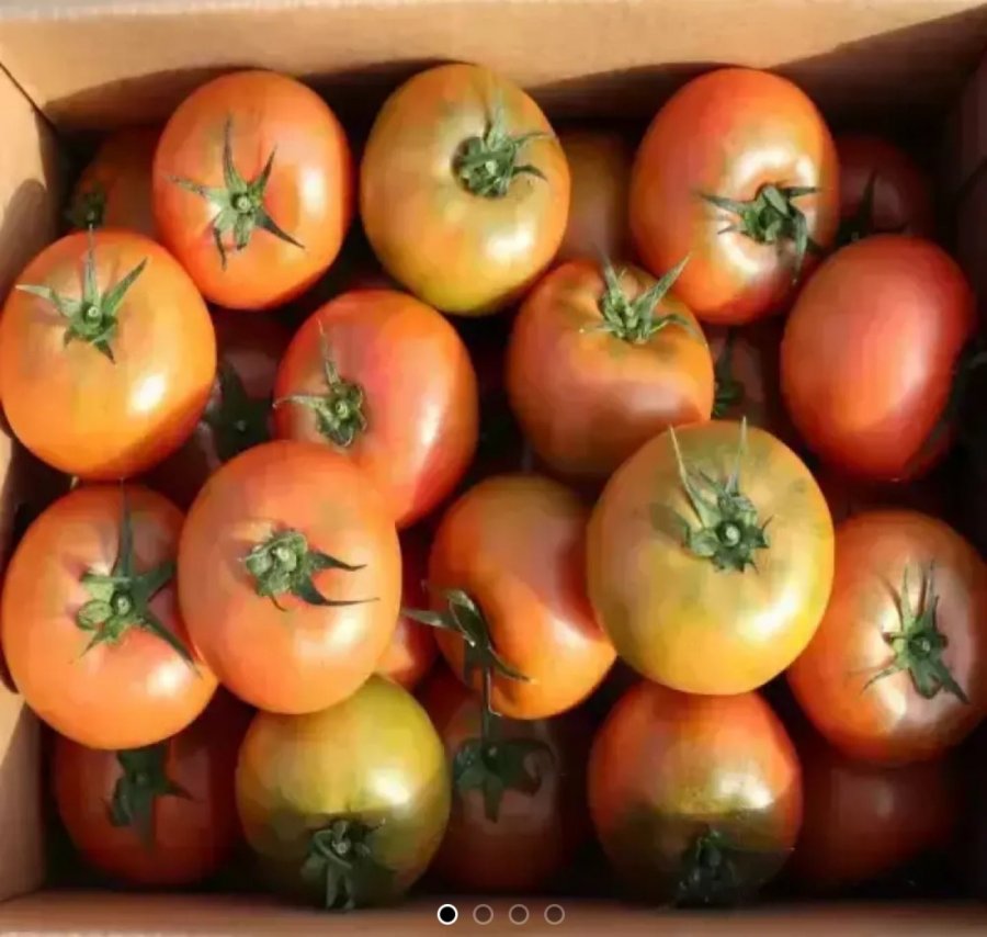 Cà chua nếp chín nội địa 2kg cỡ vừa và nhỏ